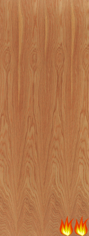 External Hardwood 60 Minute Fire Door Blank