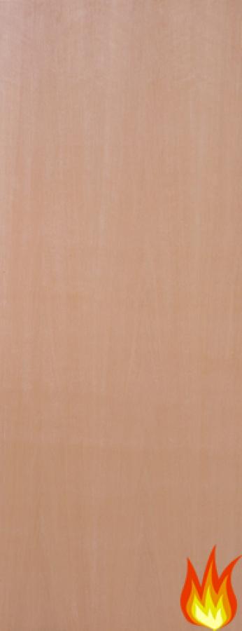 External Hardwood 30 Minute Fire Door Blank