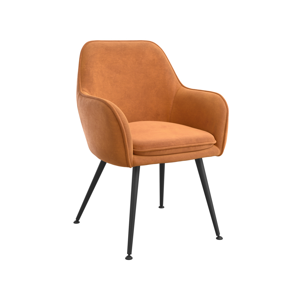 Tara Burnt Rust Dining Chair (pack of 2)