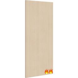Flush Internal Ash 60 Minute Fire Door (FD60)