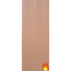 External Hardwood 30 Minute Fire Door Blank