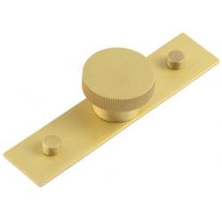 Thaxted Cupboard Knob on Plain Backplate - Satin Brass (and more)